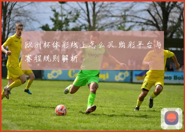欧洲杯体彩线上怎么买 购彩平台与赛程规则解析