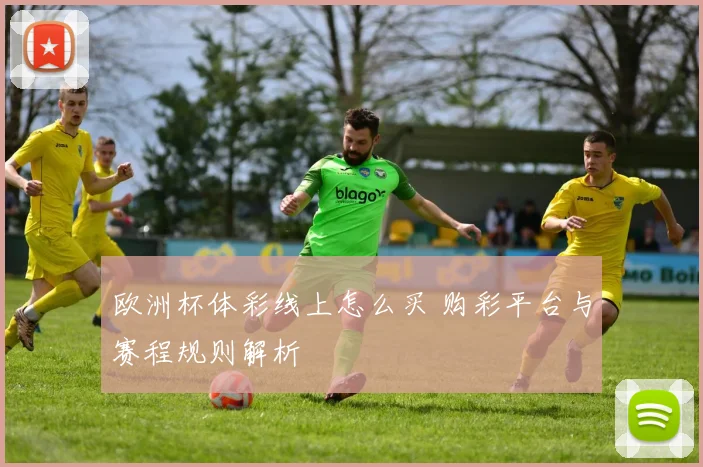 欧洲杯体彩线上怎么买 购彩平台与赛程规则解析