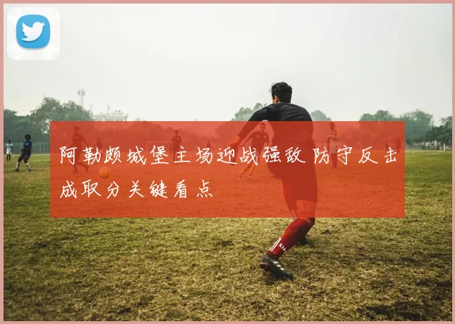 阿勒颇城堡主场迎战强敌 防守反击成取分关键看点