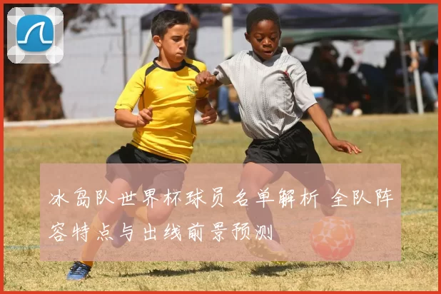 冰岛队世界杯球员名单解析 全队阵容特点与出线前景预测