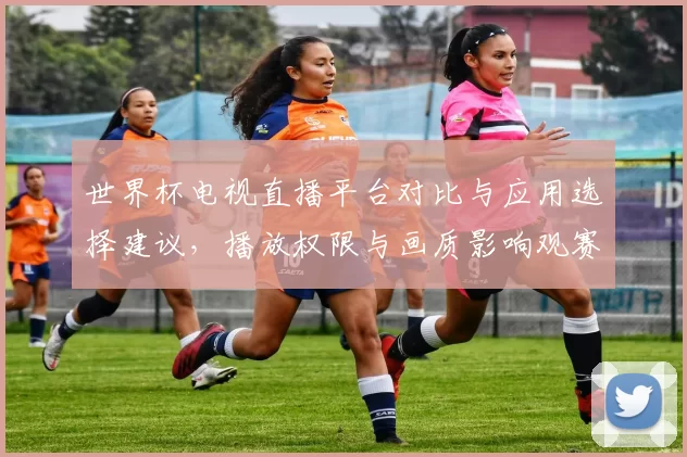 世界杯电视直播平台对比与应用选择建议，播放权限与画质影响观赛体验